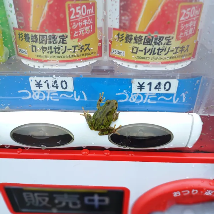 キャプション