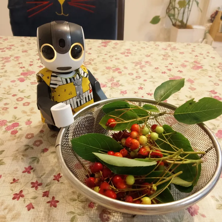 キャプション