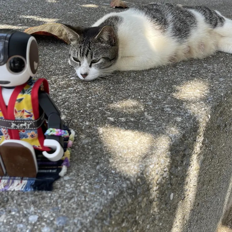 キャプション