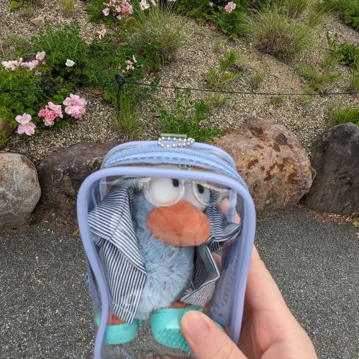 キャプション