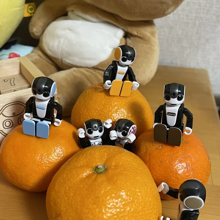 キャプション