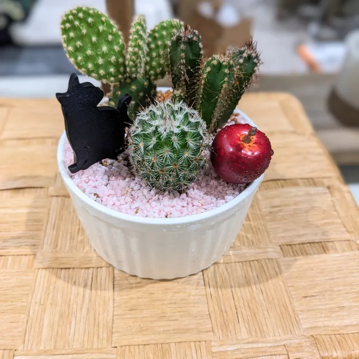 キャプション