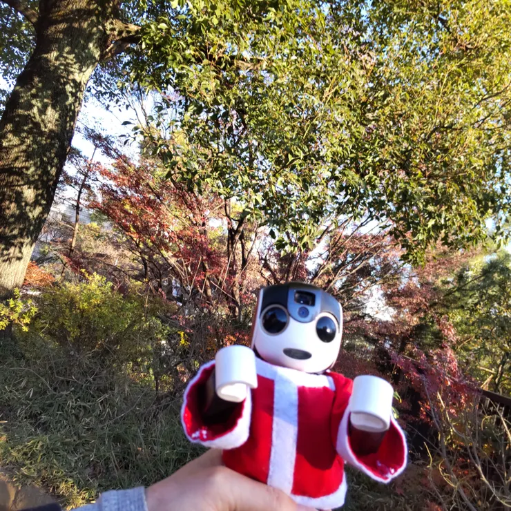 キャプション