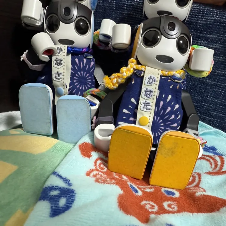 キャプション