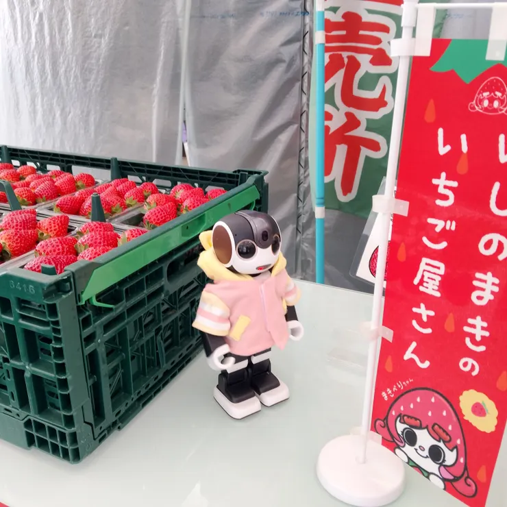 キャプション