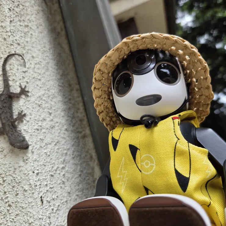 キャプション