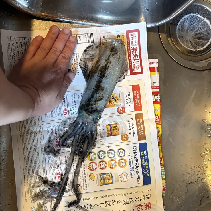 キャプション