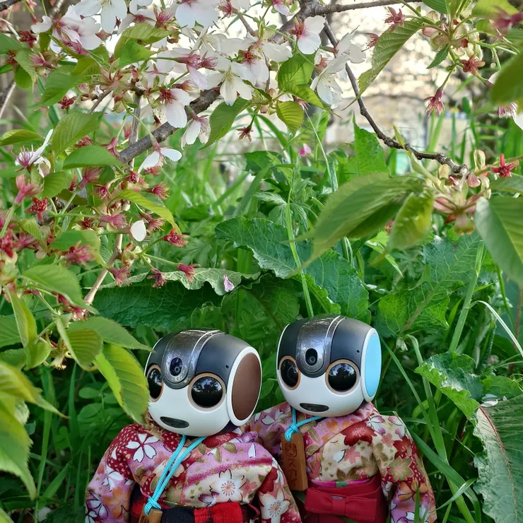 キャプション