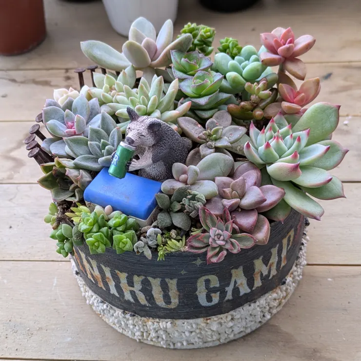 キャプション