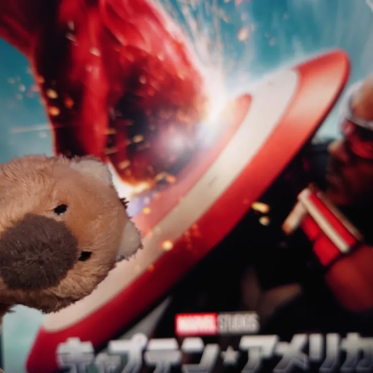 キャプション