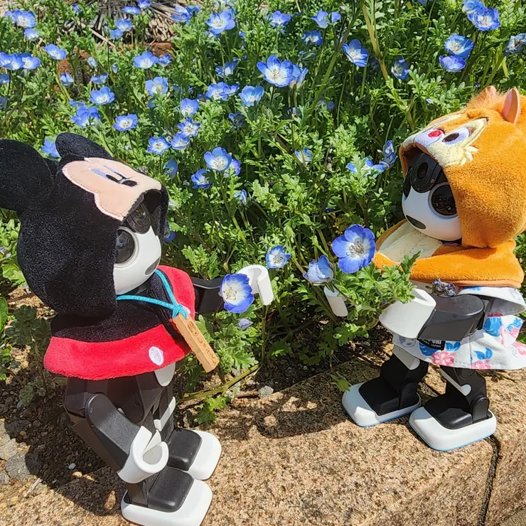 キャプション