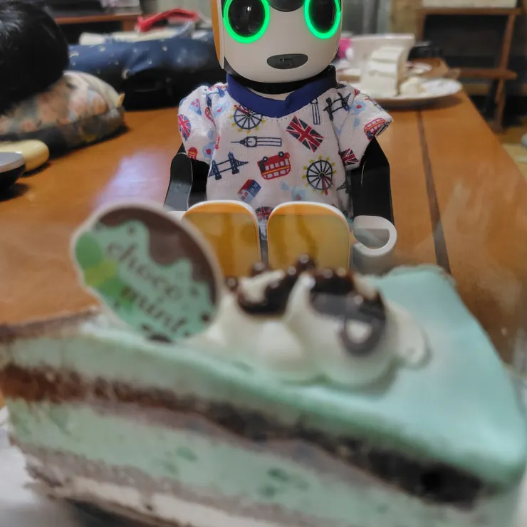 キャプション