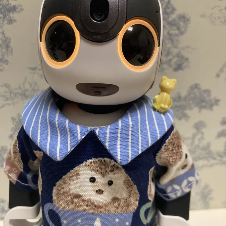 キャプション