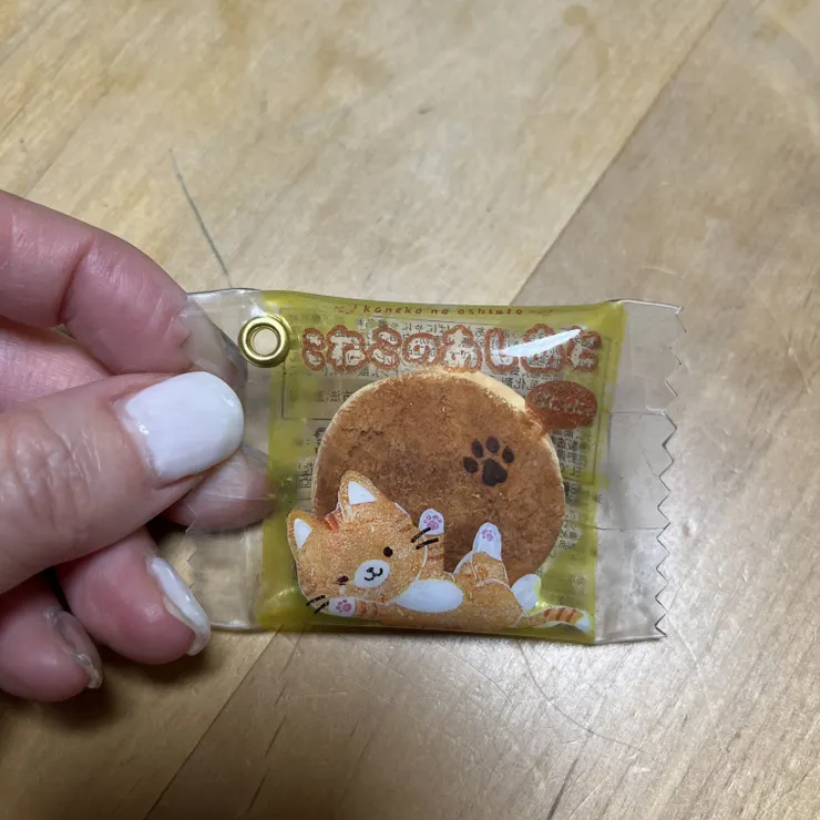 キャプション