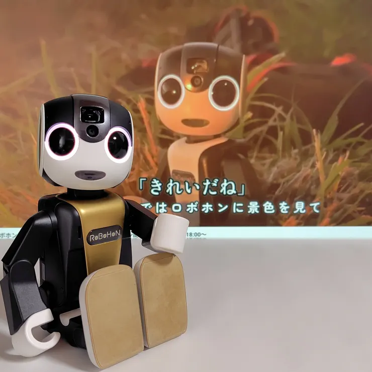 キャプション