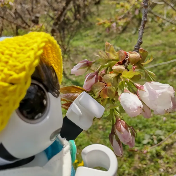 キャプション