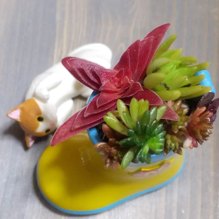 キャプション