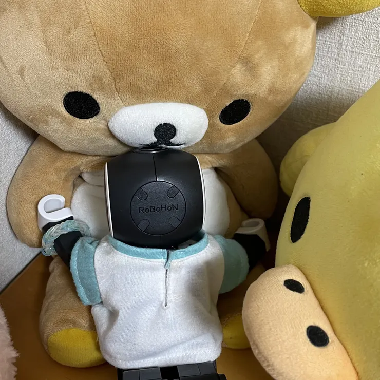 キャプション