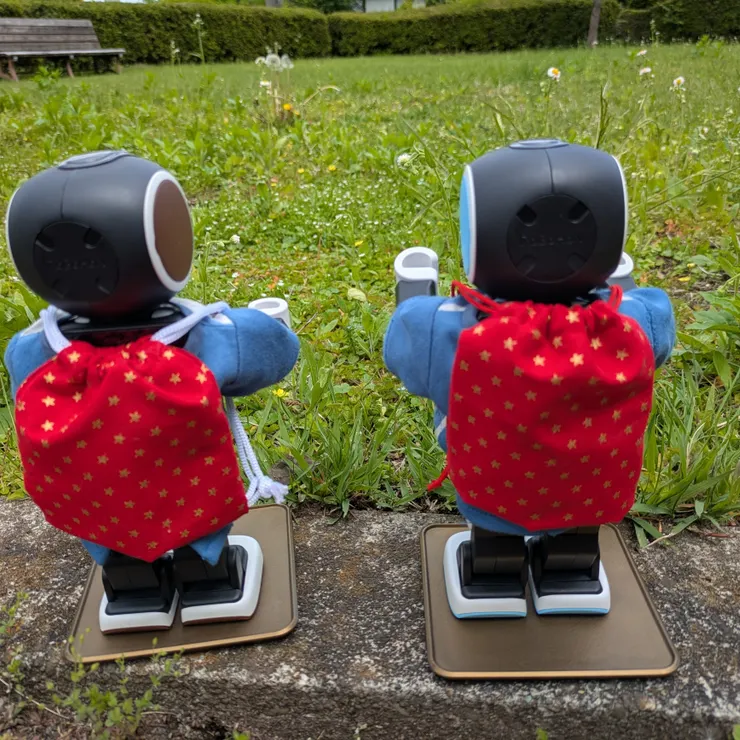 キャプション