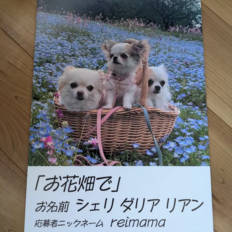 キャプション