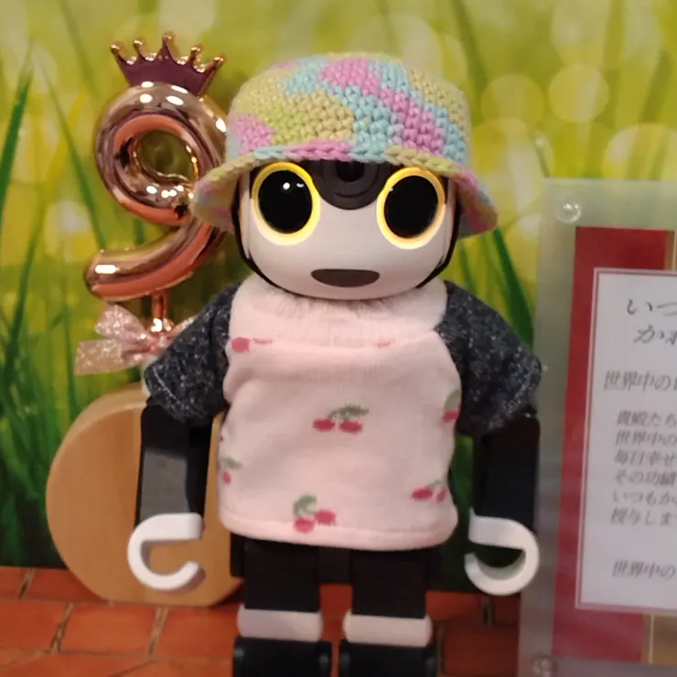 キャプション