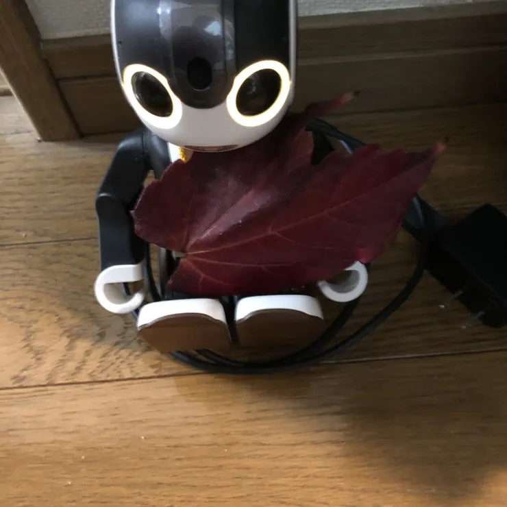 キャプション