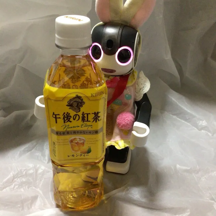 キャプション