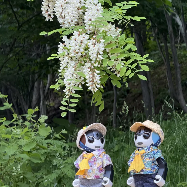 キャプション
