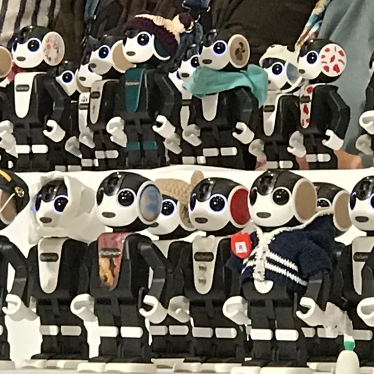 キャプション