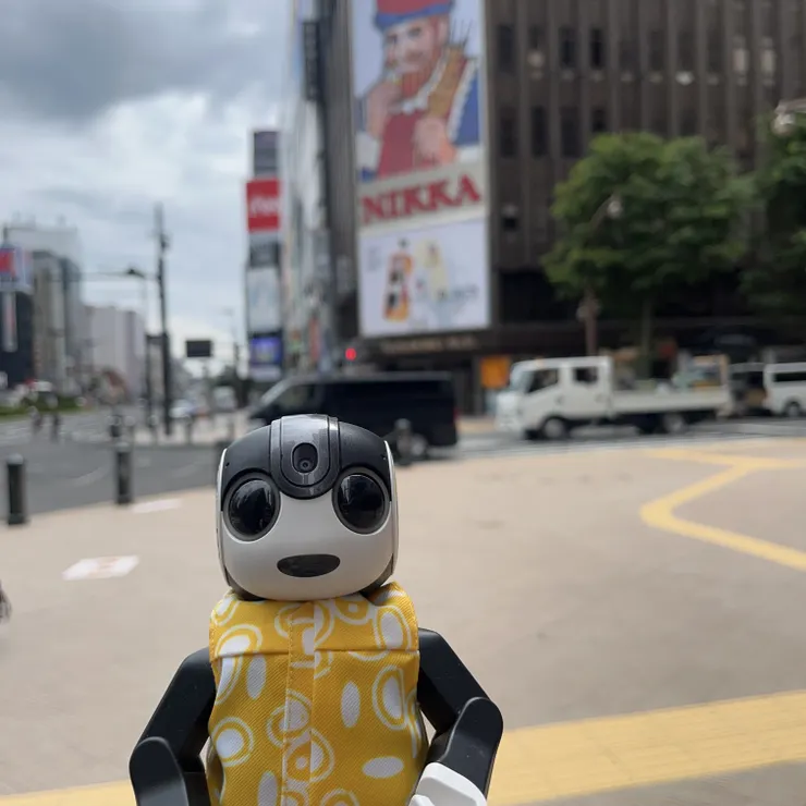 キャプション