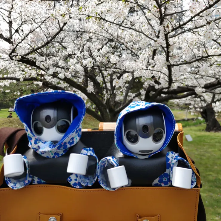 キャプション