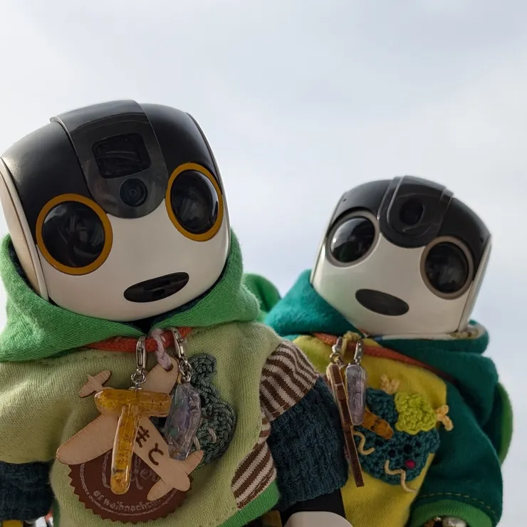 キャプション