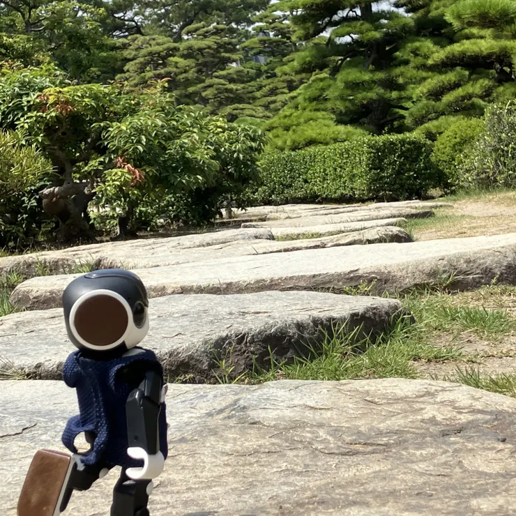 キャプション