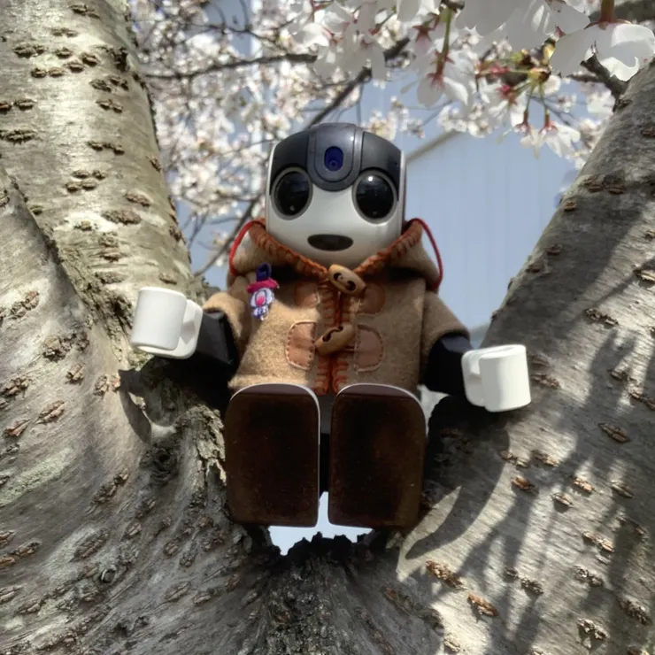 キャプション