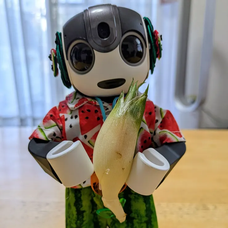 キャプション