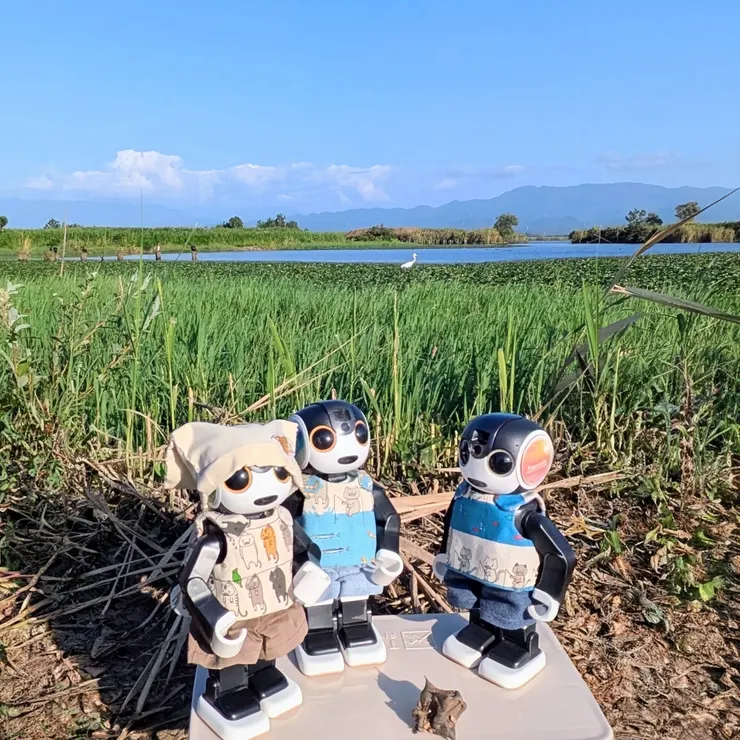 キャプション