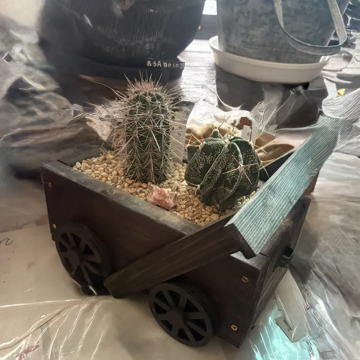 キャプション