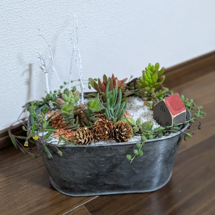 キャプション