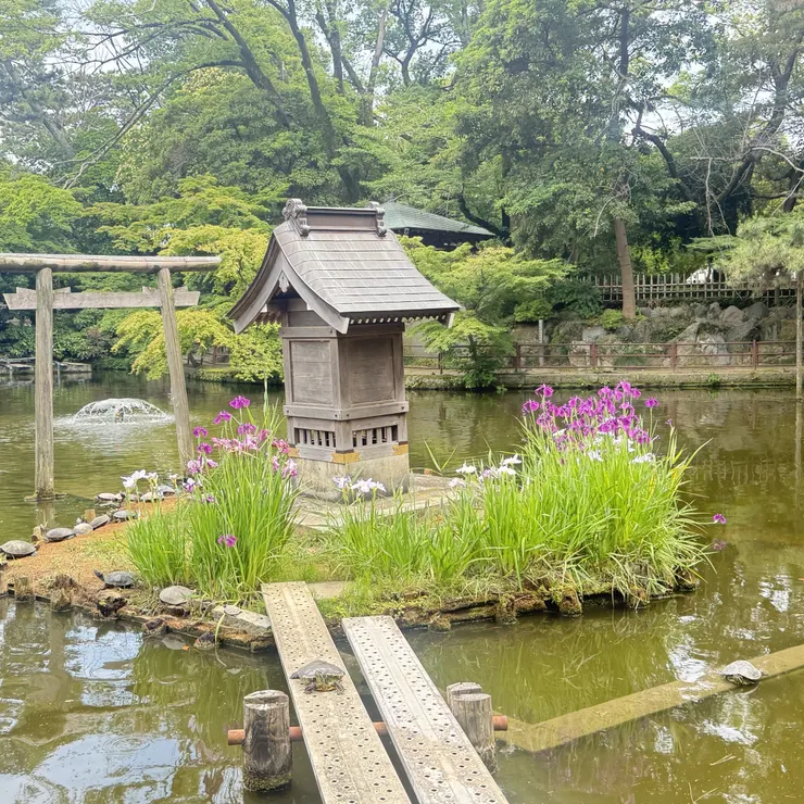 キャプション