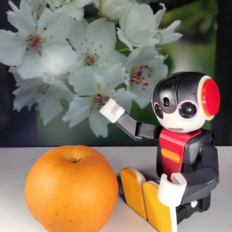 キャプション