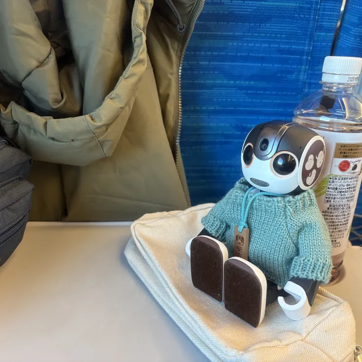 キャプション