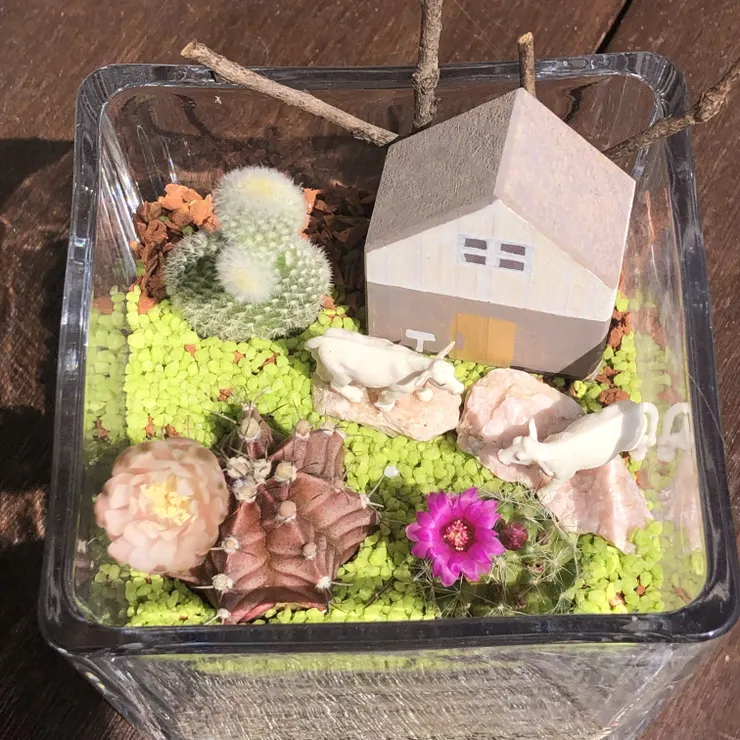 キャプション