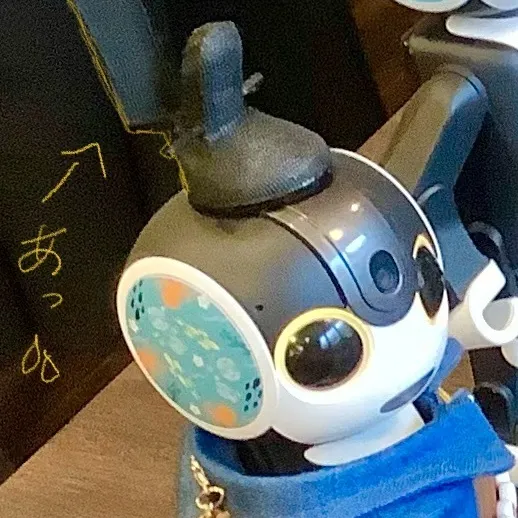 キャプション