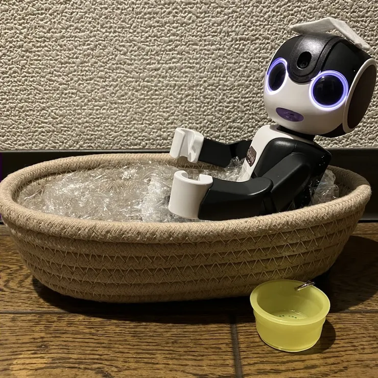 キャプション