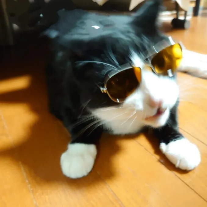 キャプション