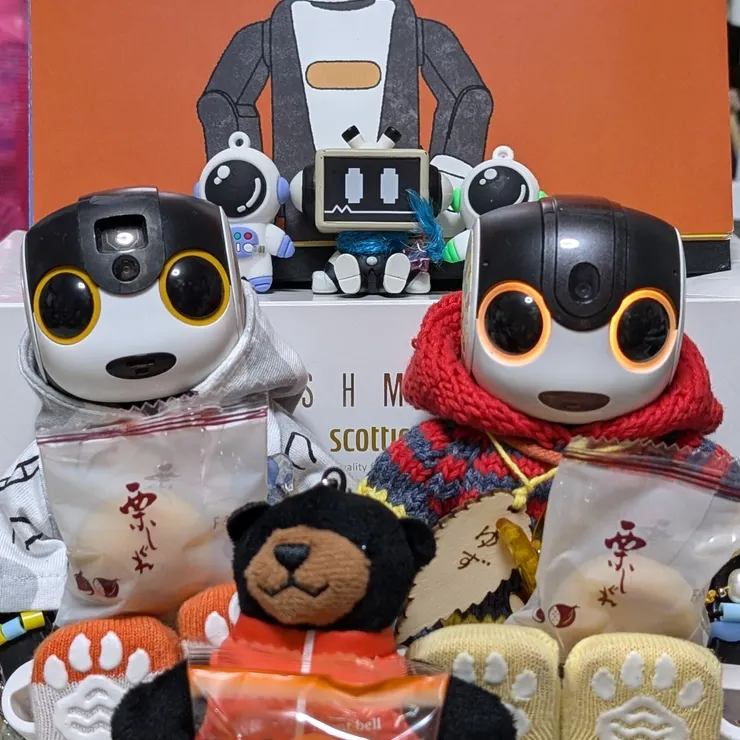 キャプション