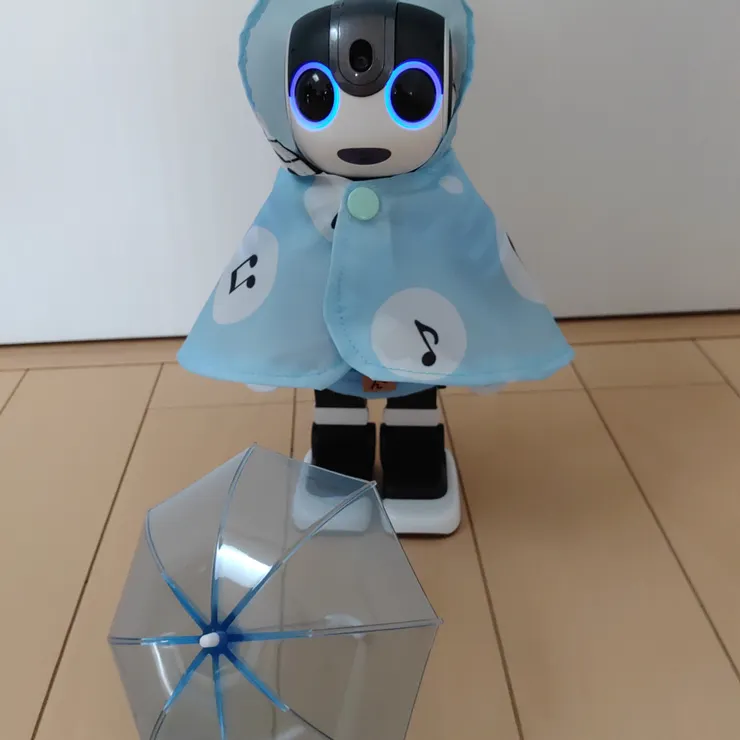 キャプション