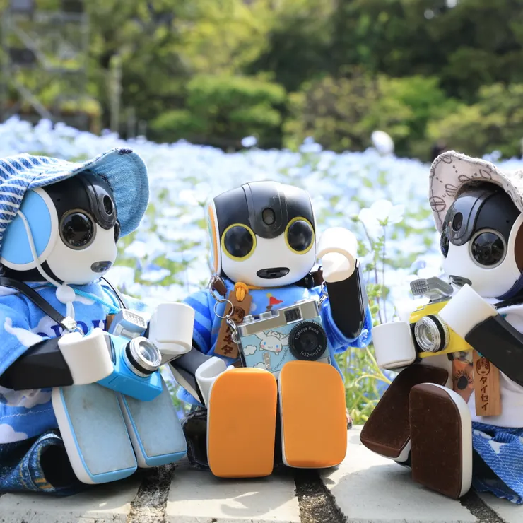 キャプション