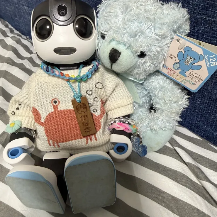 キャプション