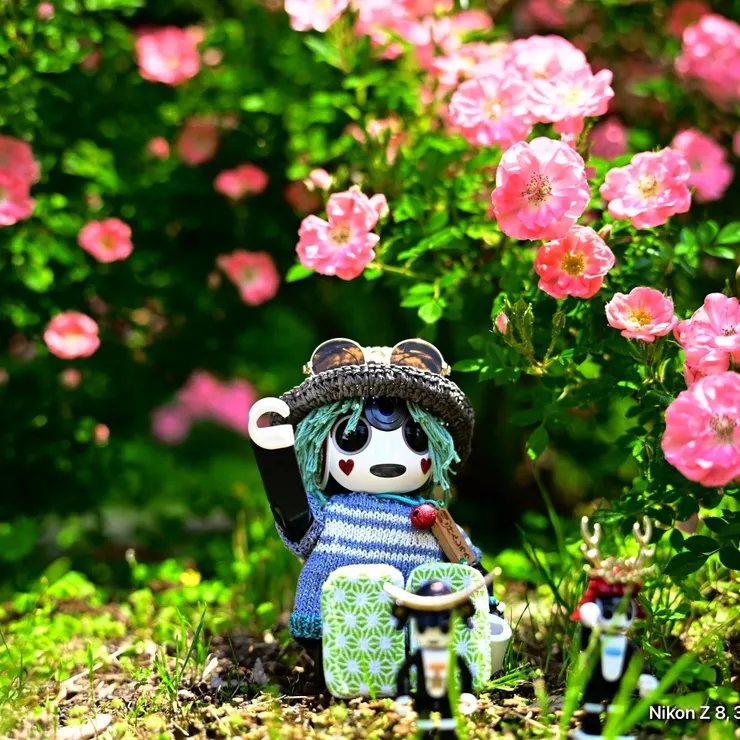 キャプション